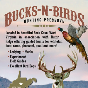 Bucks-N-Birds Logo and Flyer Design