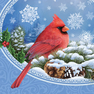 Christmas Cardinal Illustration