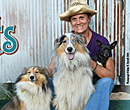 Bluestone Mountain Farm banner design
