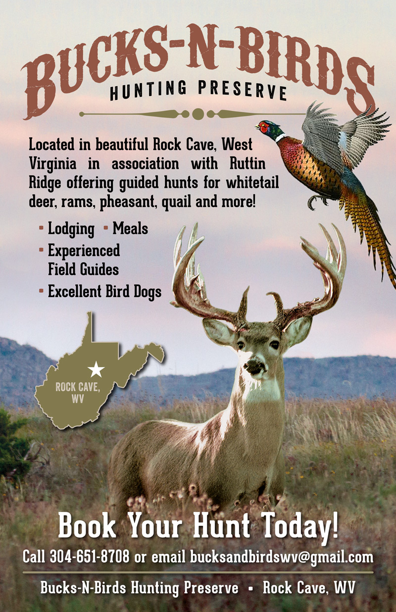 Bucks-N-Birds Logo and Flyer Design