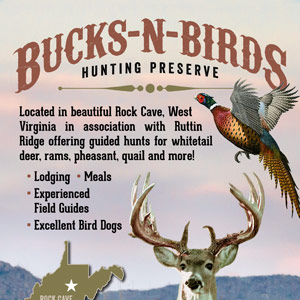 Bucks-N-Birds Logo and Flyer Design Bucks-N-Birds Logo and Flyer Design